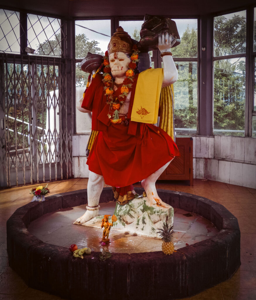 Statue of Hindu deity Hanuman dressed in ceremonial robes and garlands, holding a mountain and standing in a circular shrine inside a temple at Ganga Talao, Mauritius.