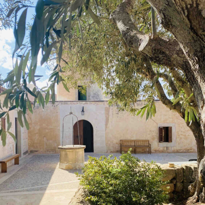 Sunlit courtyard of the SanMOLINO mill in Santanyí, Mallorca, with a central stone well, rustic benches, olive trees, and an arched entrance to the historic building.