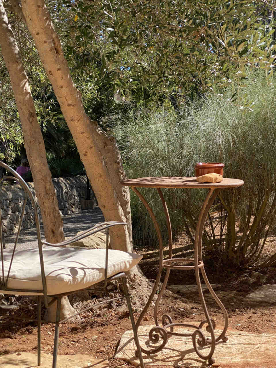 Image of the garden of the SanMOLINO mill in Santanyi / Mallorca