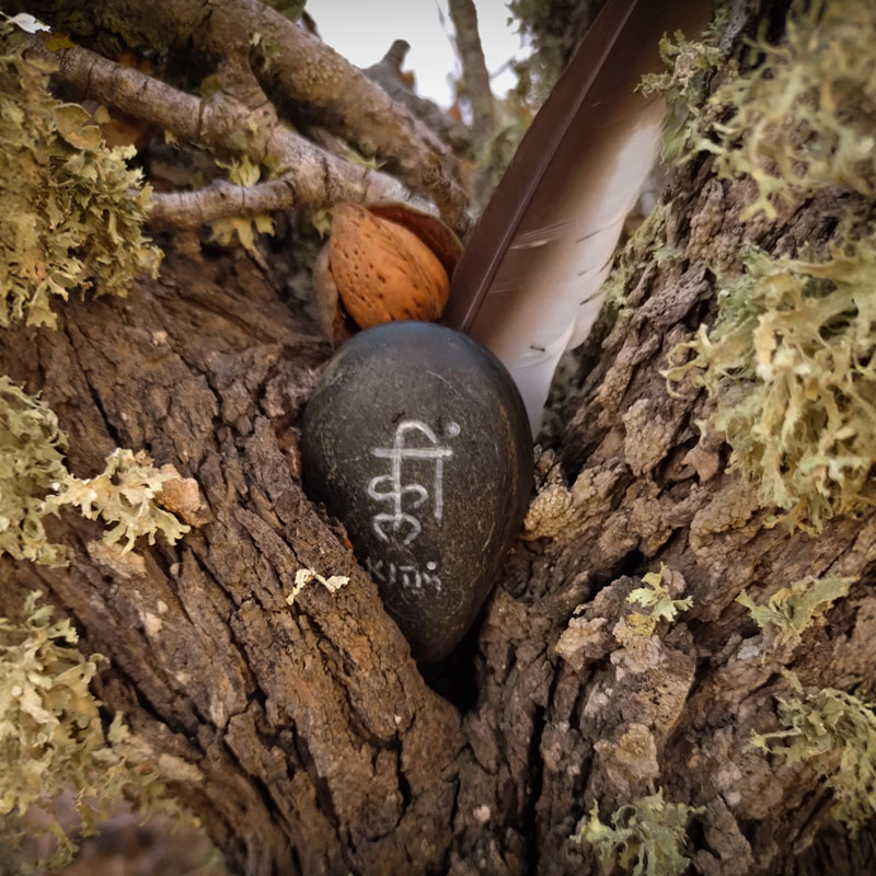 Sacred black stone with the Bija mantra “Klim” placed in a tree trunk with lichen, feather, and almond shell, symbolizing natural devotion and spiritual connection.