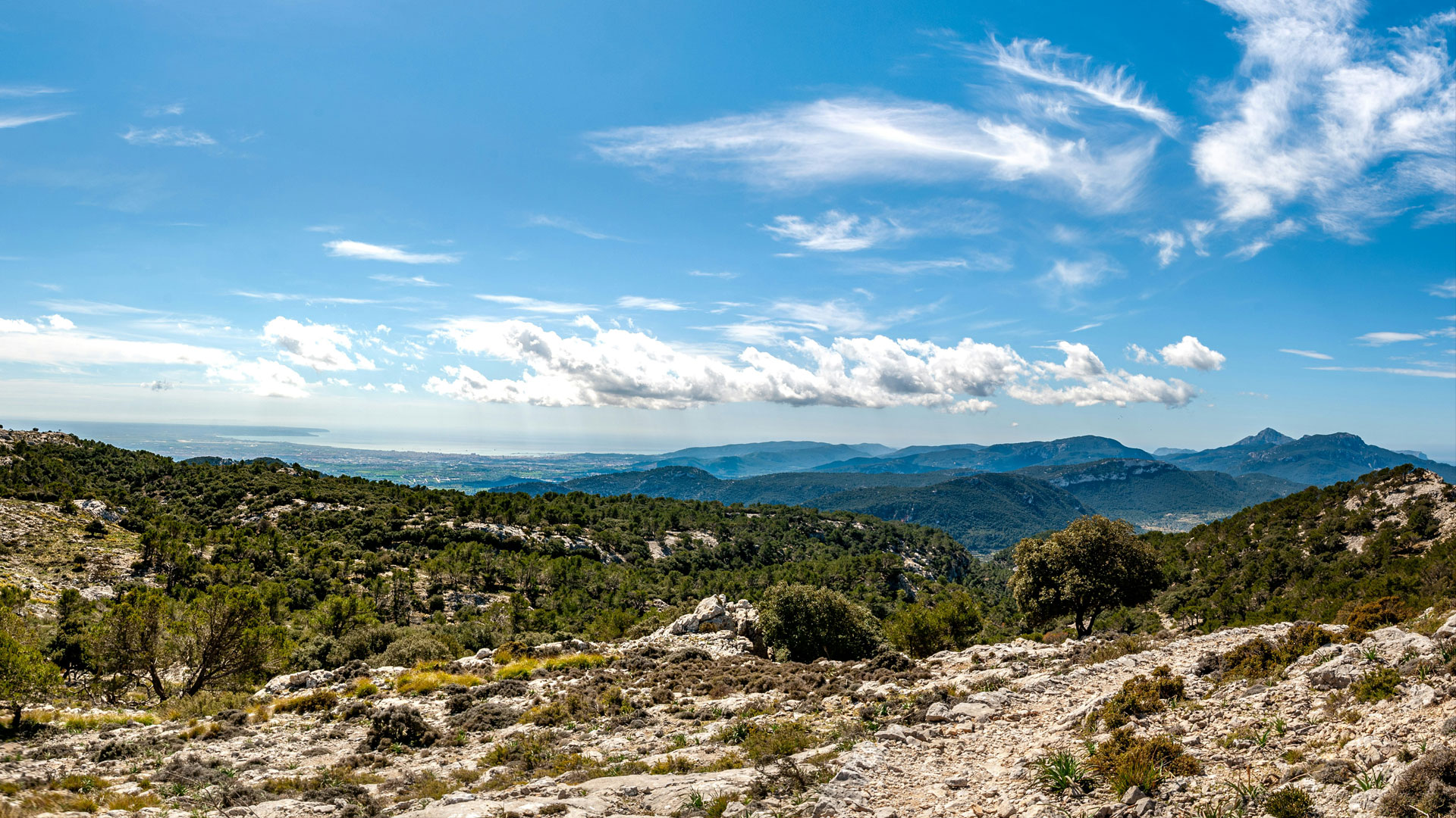 Bīja Stones: a small story before the year turns