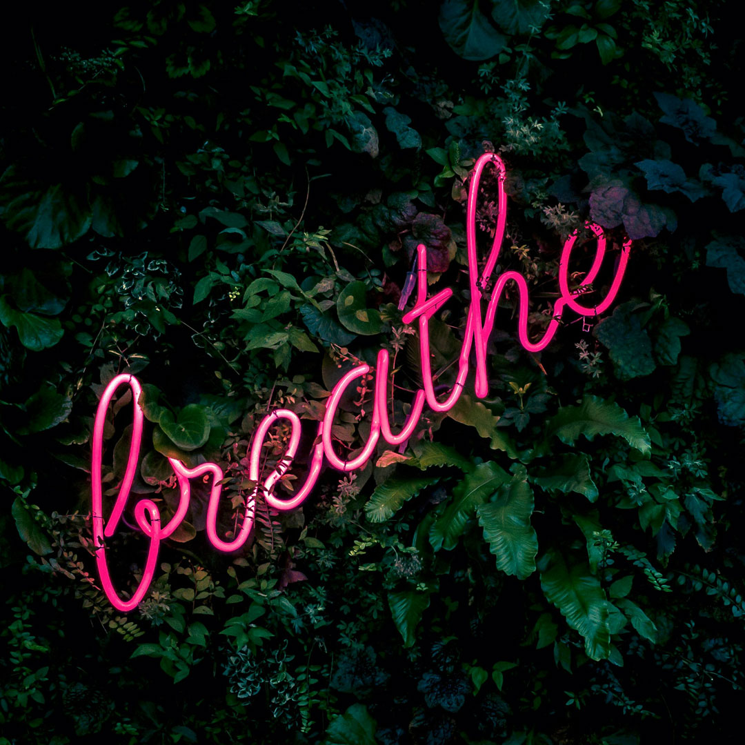 Pink neon “breathe” sign glowing on a dark green leafy wall. (Photo: Fabian Moller.)