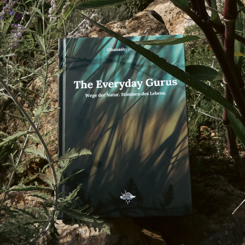 Cover of The Everyday Gurus by Ghanashyam Das displayed among rocks and wild plants in a natural outdoor setting.