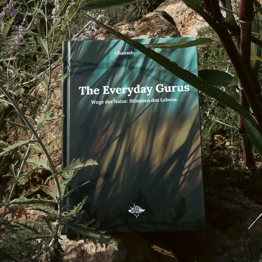 Cover of The Everyday Gurus by Ghanashyam Das displayed among rocks and wild plants in a natural outdoor setting.